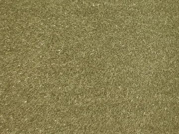 Turf texture (ID:ffach529186)