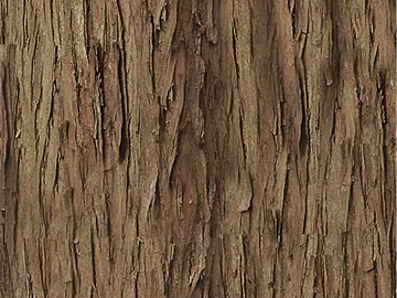 bark texture (ID:ffaag26871)