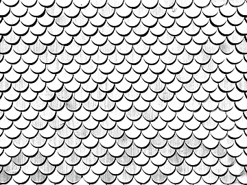 Black and White Bump texture (ID:ffacg65498)