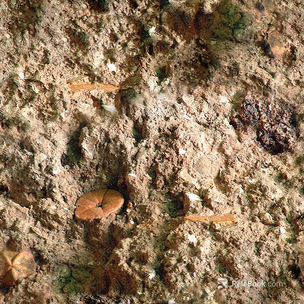 Stone Rock texture