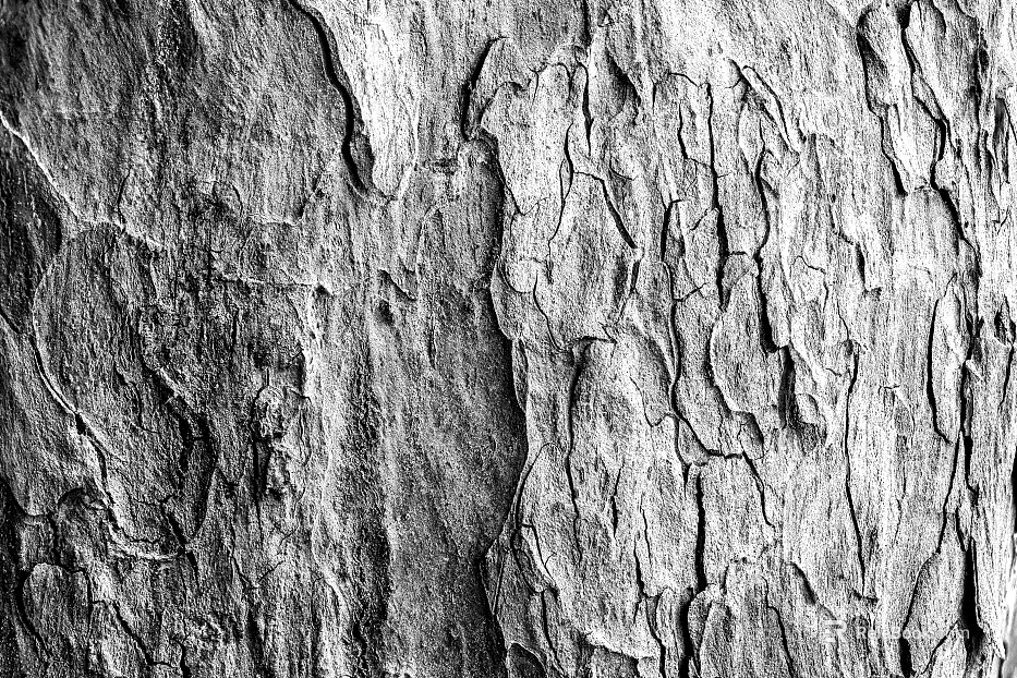 Black and White Bump texture