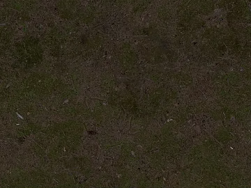 Turf texture (ID:ffach762543)