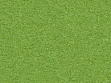 Turf texture (ID:ffadf1238)