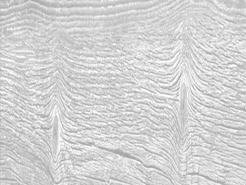 Black and White Bump texture (ID:ffaff8919)