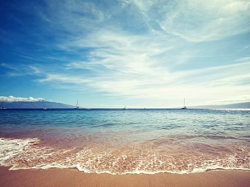 Wild Scenery texture (ID:ffaag04924)