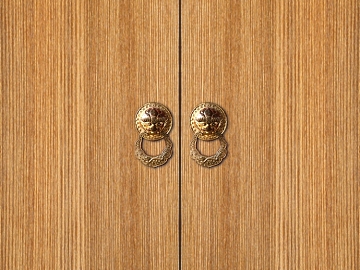 Wooden door texture (ID:ffajg79948)