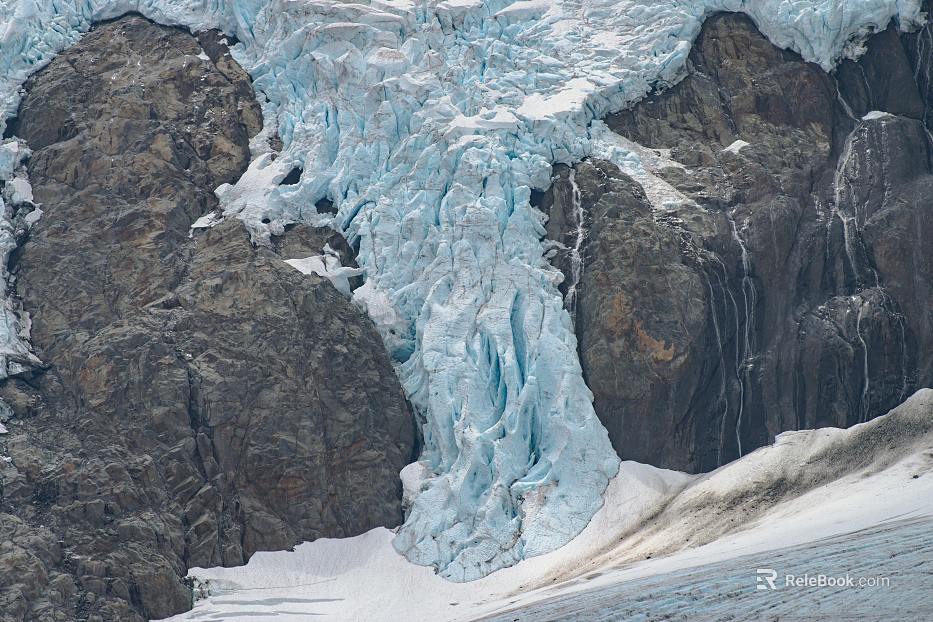Wild Scenery texture