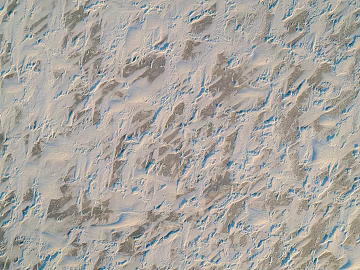 Beach texture (ID:ffabg53647)