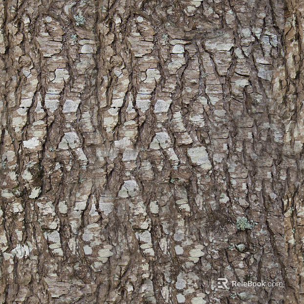 bark texture