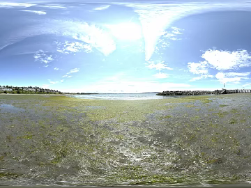 lakeside swamp blue sky and white clouds panorama texture (ID:ffach491143)