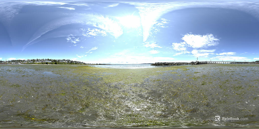 lakeside swamp blue sky and white clouds panorama texture