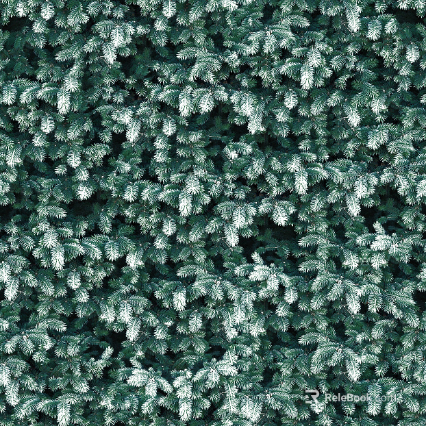 Plants texture