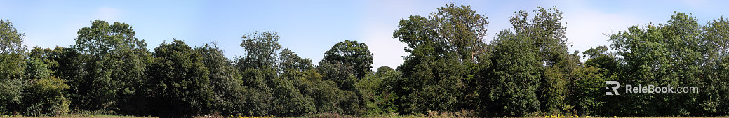 Wild Scenery texture