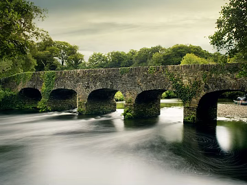 Wild Scenery texture (ID:ffagg37632)