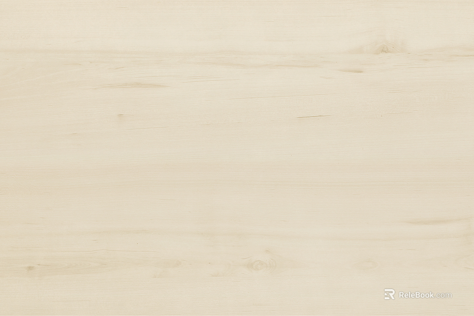 Birch wood grain texture background pattern log light color texture