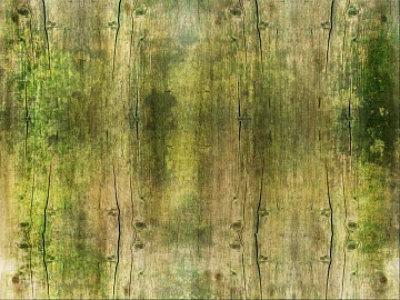 Wood grain texture (ID:ffaef7798)