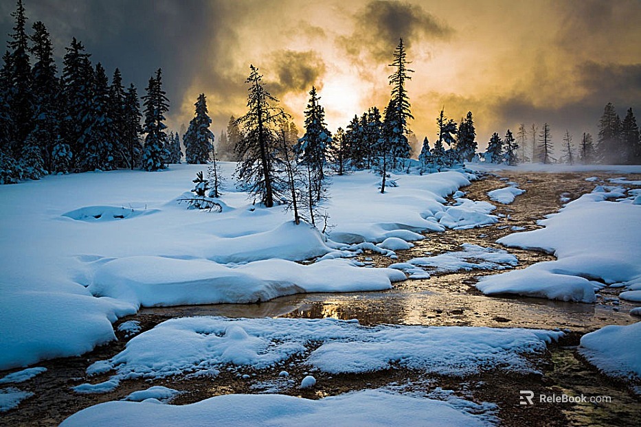 Snow texture