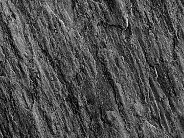 Black and White Bump texture (ID:ffagg55728)