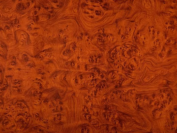 Tumour wood wood grain white bolt Tumour wood grain wood veneer texture (ID:ffabg36264)