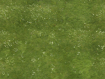 Turf texture (ID:ffaeg37537)