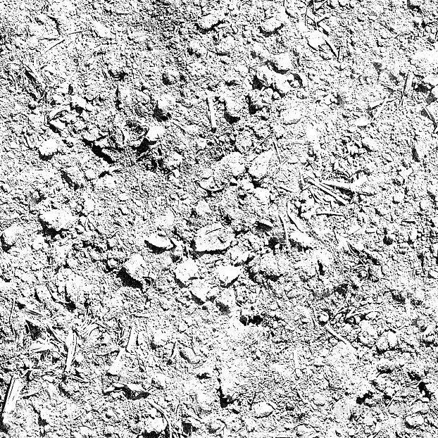 Black and White Bump texture