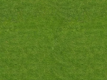 Turf texture (ID:ffaef4988)