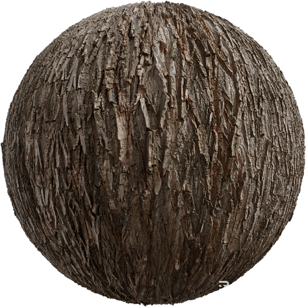 Bark PBR texture