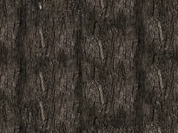 bark texture (ID:ffagg78850)