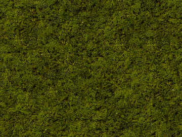 moss texture (ID:ffabf6522)