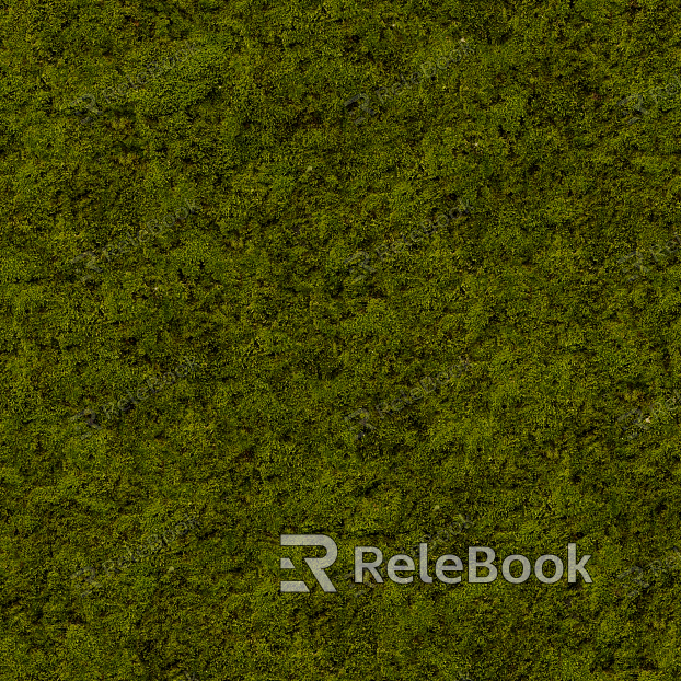 Dense, lush green moss carpet covering the surface of a large rock, thriving in a moist, shaded environment, possibly in a forest or garden setting.