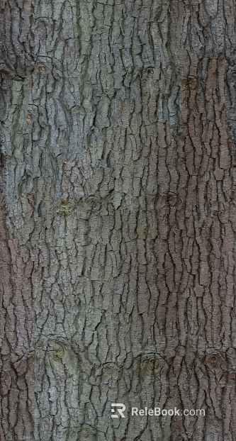 bark texture