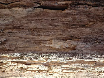 mountain rock wall texture (ID:ffagg74281)