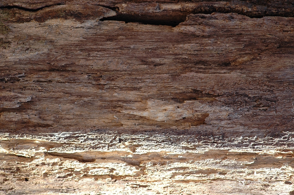 mountain rock wall texture