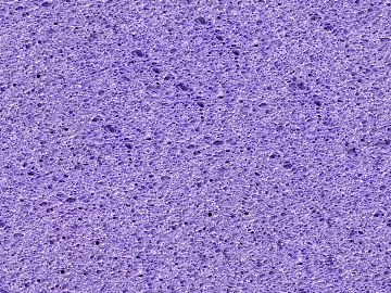 foam sponge texture (ID:ffaeh047347)