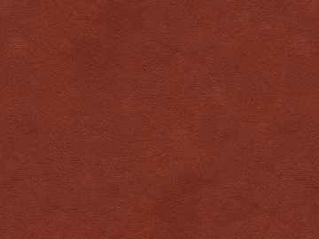 Mud 3d model