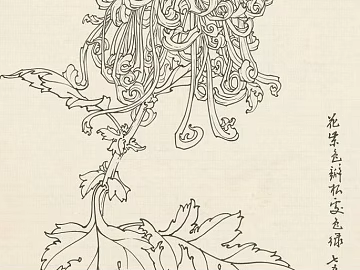 Plant painting texture (ID:ffabf6502)