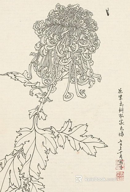 Plant painting texture