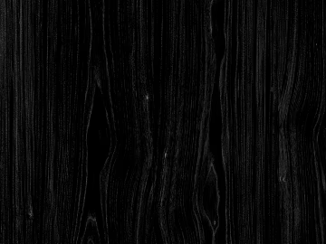 Black and white wood grain texture (ID:ffaag54258)