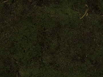 Turf texture (ID:ffaeg16628)