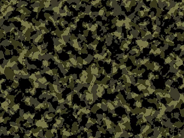 modern camouflage cloth texture (ID:ffach887391)