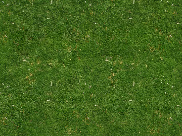 modern turf texture (ID:ffach810843)