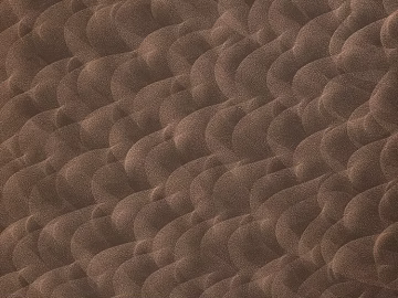 Coarse-grain leather 3d model