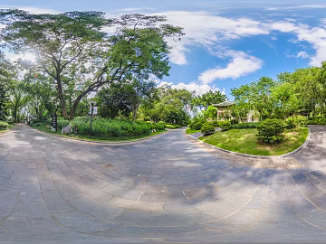 Park Shade Traverway Forest Daytime HDR texture (ID:ffach383866)