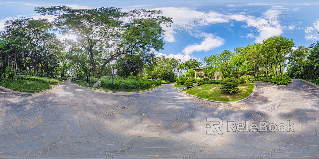 HDR Green Trailway Forest Leisure Riverside texture