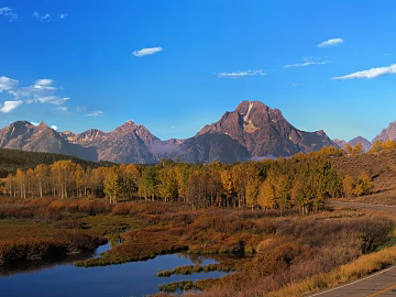 Wild Scenery texture (ID:ffajg77243)