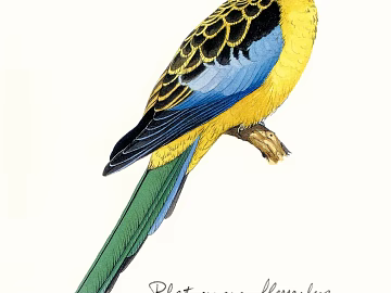 Animal painting texture (ID:ffadf0431)