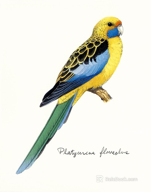 Animal painting texture