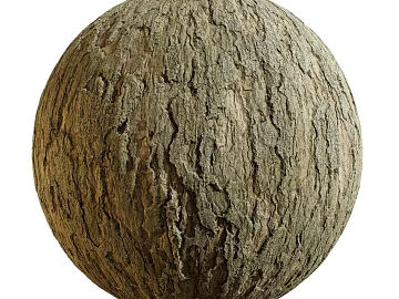 East Asian Bark PBR texture (ID:ffach500124)