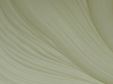 Wrinkles texture (ID:ffagg56818)