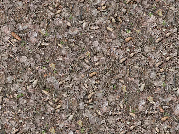 Ground texture (ID:ffagg45480)